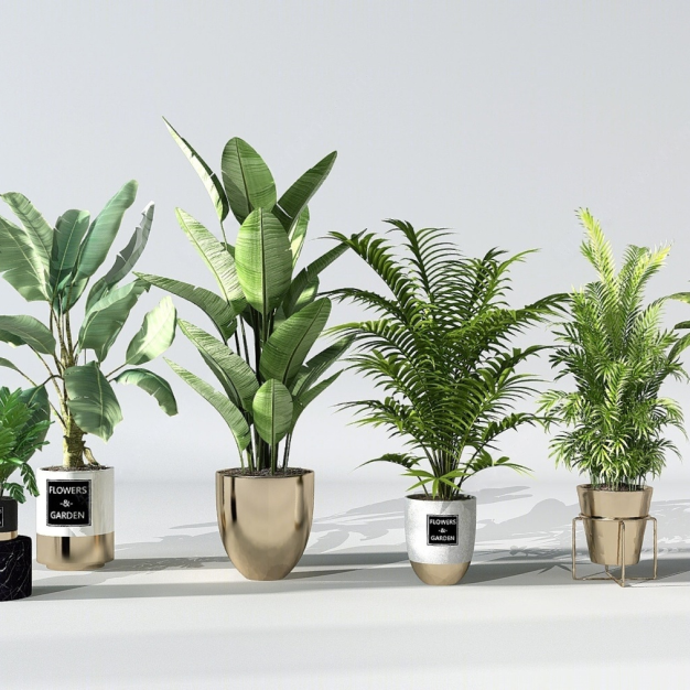 现代盆栽绿植组合3D模型