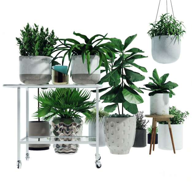 现代植物盆栽3D模型