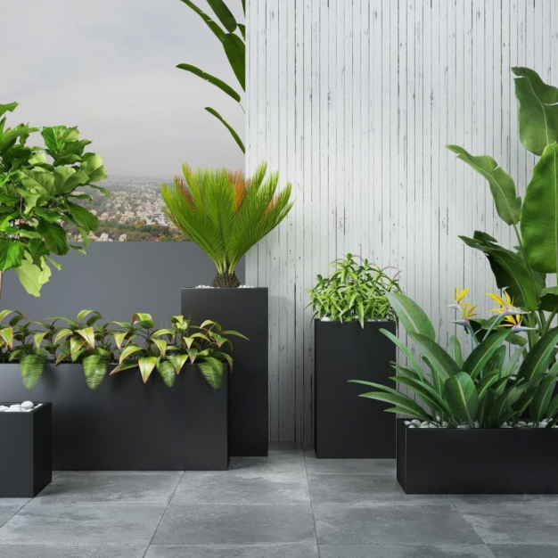 现代植物盆栽组合模型3D模型
