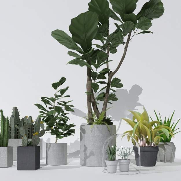 现代植物盆栽组合3D模型