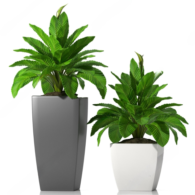 现代盆栽绿植组合3D模型