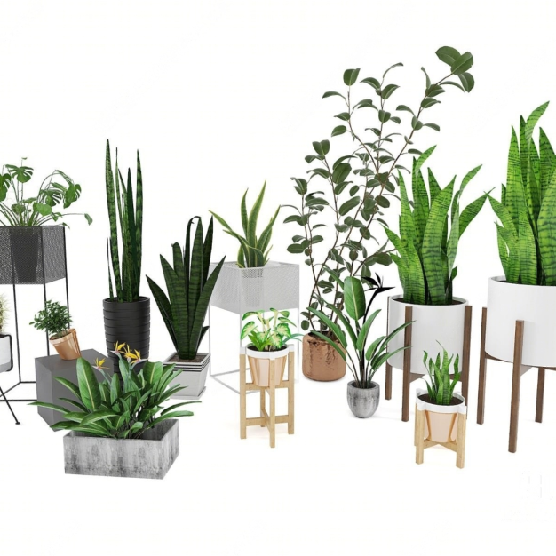 现代植物盆栽组合3D模型