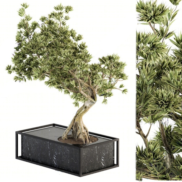 现代植物盆栽3D模型