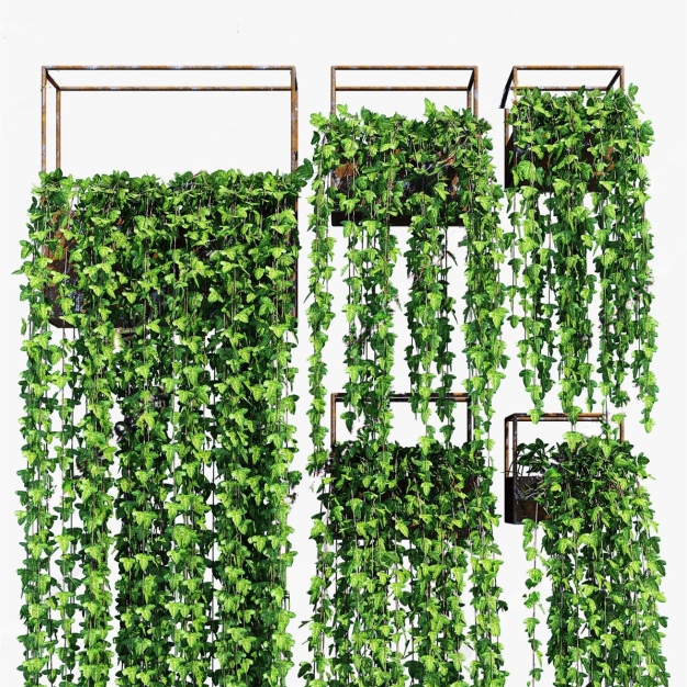 植物 吊兰3D模型