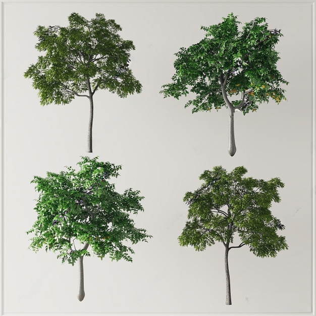 乔木 树木组合3D模型