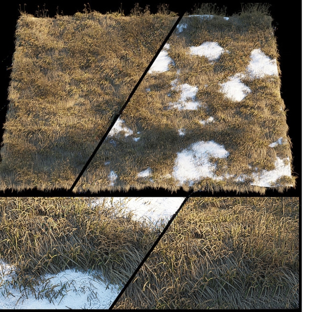 草坪草地3D模型