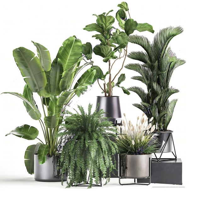植物盆栽组合3D模型