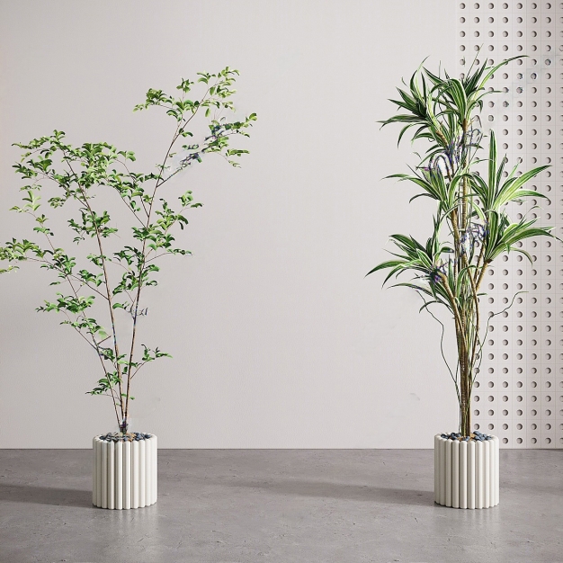 盆栽植物3D模型