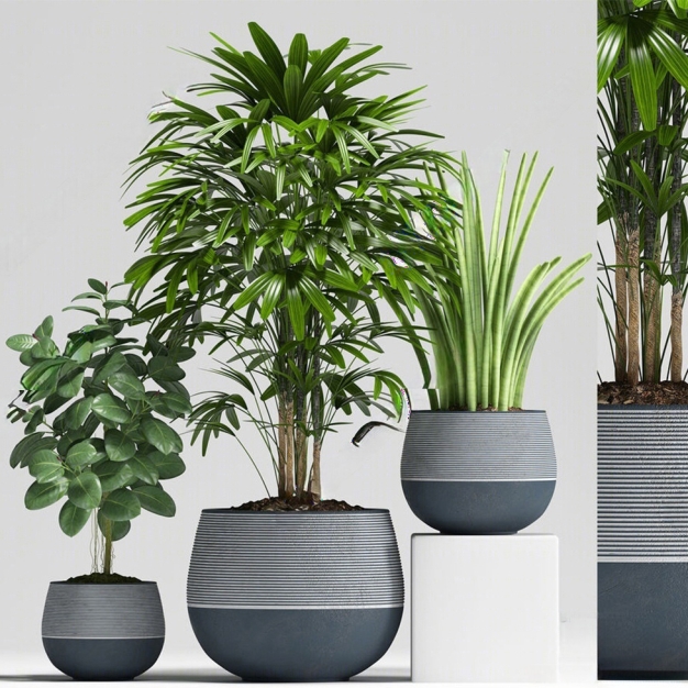 现代绿植盆栽组合3D模型