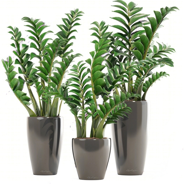 现代绿植盆栽组合3D模型