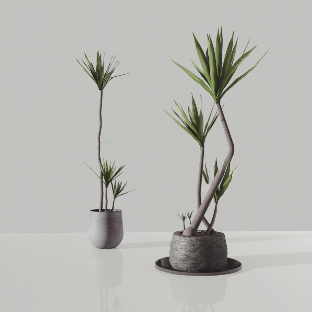 现代绿植盆栽组合3D模型