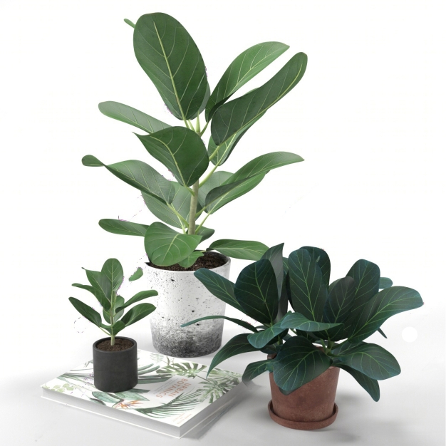 植物盆栽3D模型