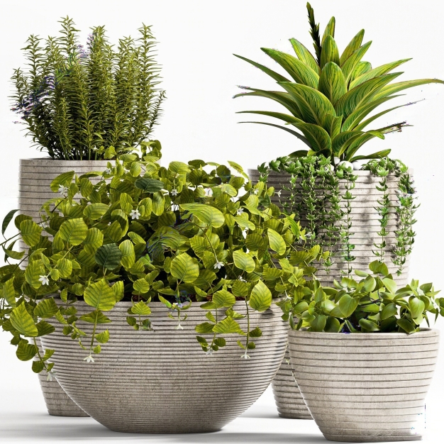 现代绿植盆栽组合3D模型