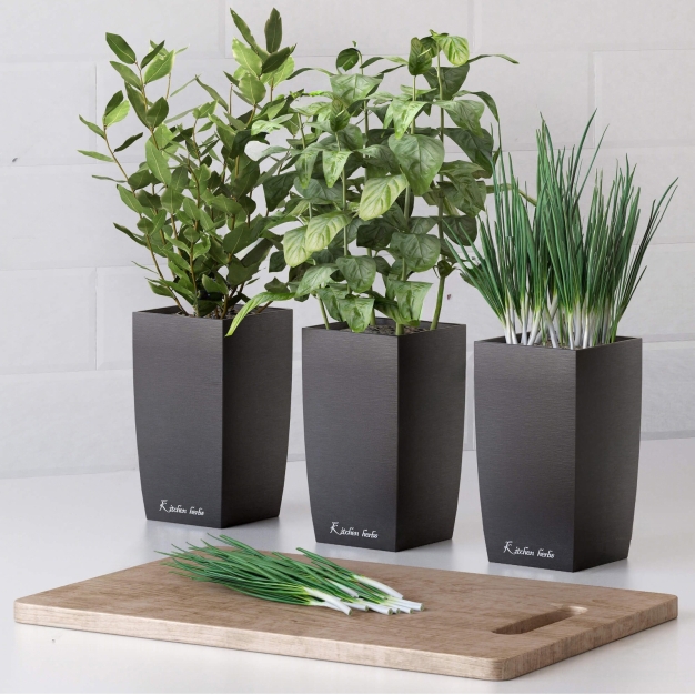 现代绿植盆栽组合3D模型
