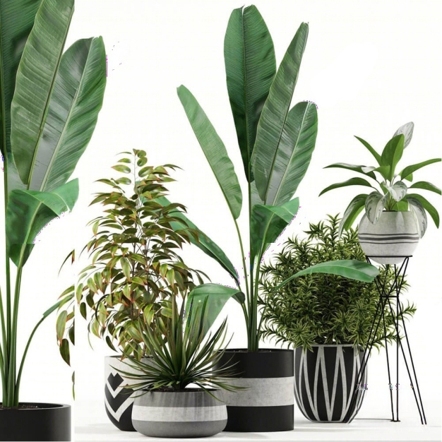 现代绿植盆栽组合3D模型