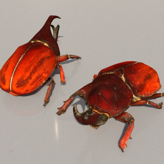 昆虫3D模型