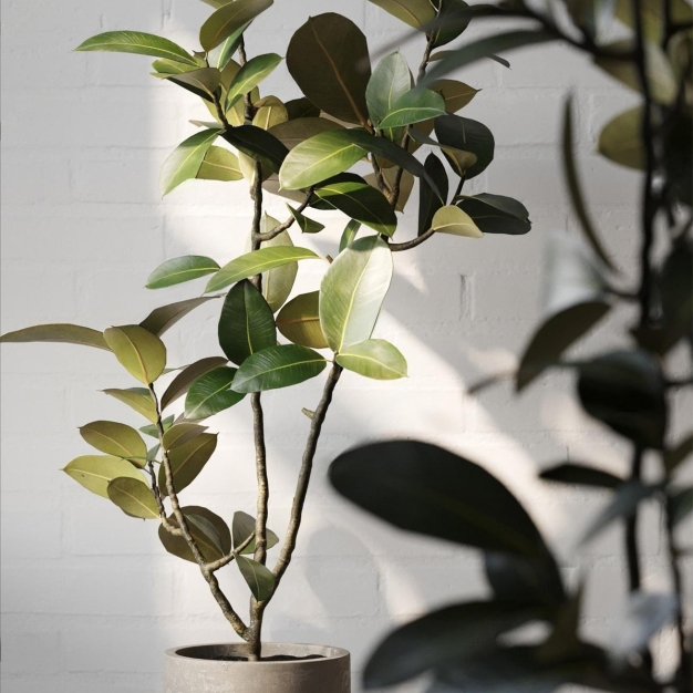 现代风格植物盆栽3D模型