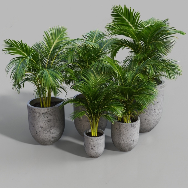 现代植物盆栽3D模型