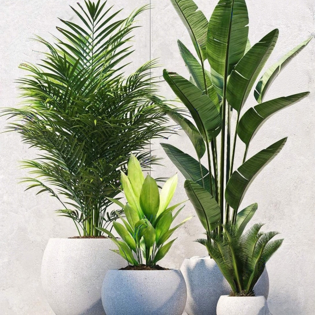 绿植盆栽3D模型
