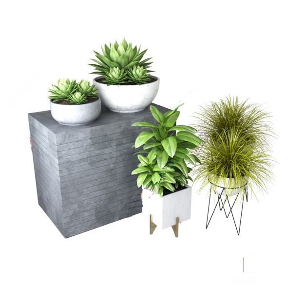植物盆栽3D模型