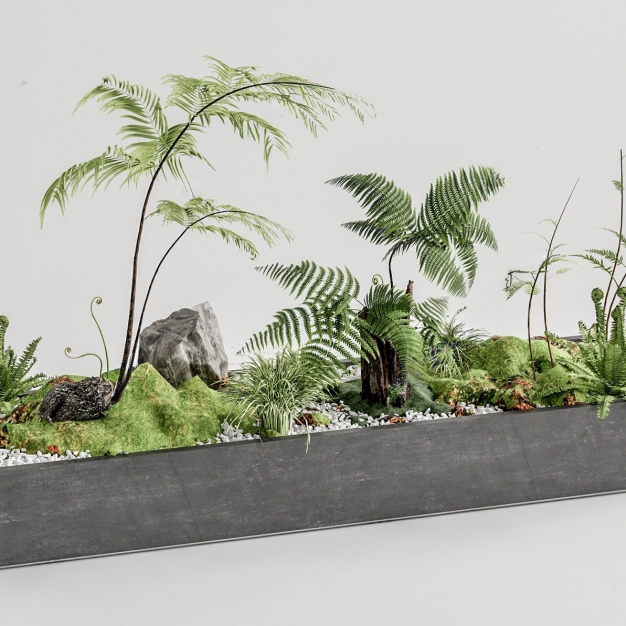 植物堆 蕨类植物3D模型