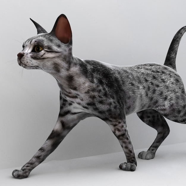 猫3D模型