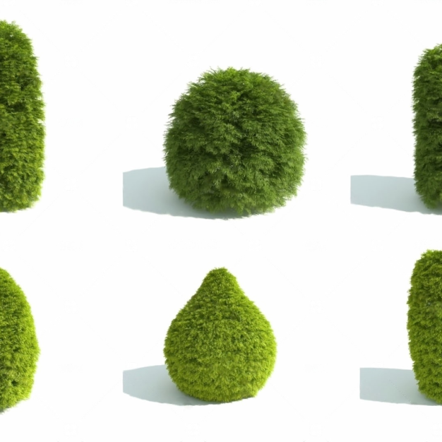 灌木 绿化植物3D模型