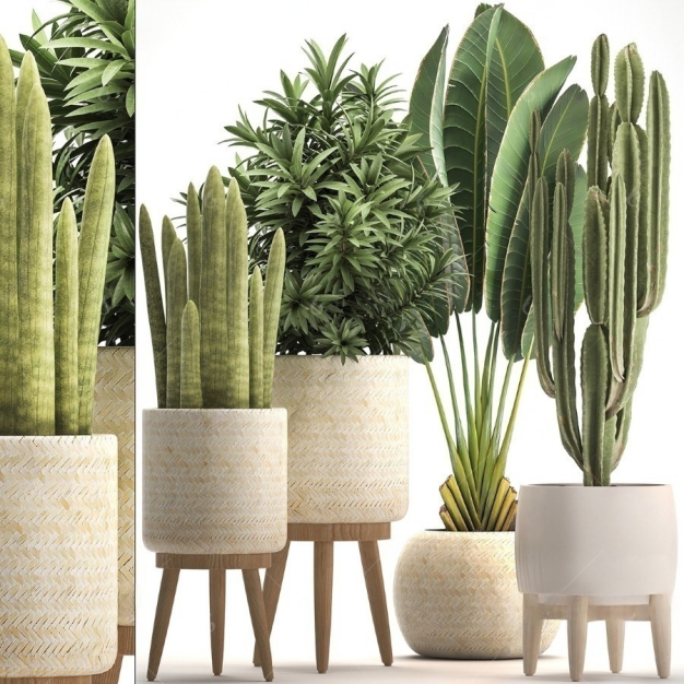 植物盆栽3D模型