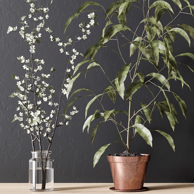 植物盆栽组合3D模型