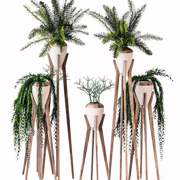 植物盆栽3D模型