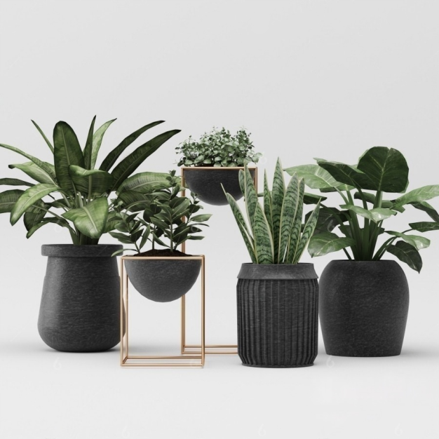 植物盆栽3D模型