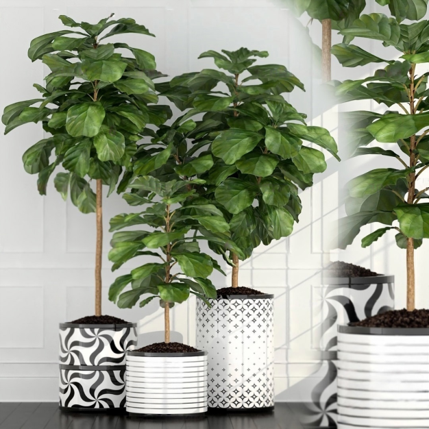 植物盆栽3D模型