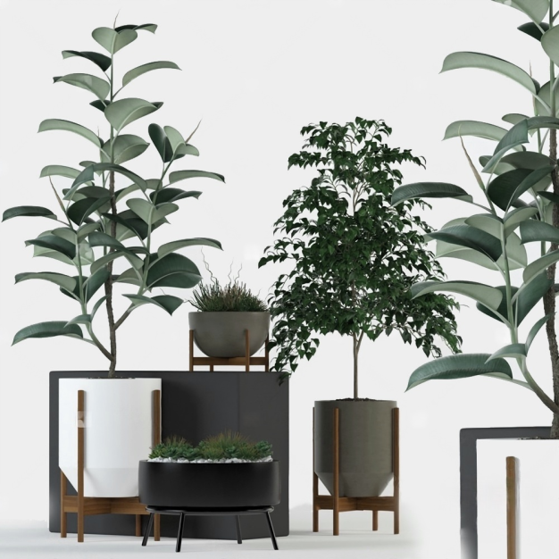 植物盆栽3D模型