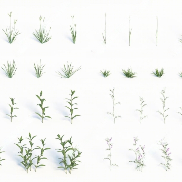 花草植物3D模型