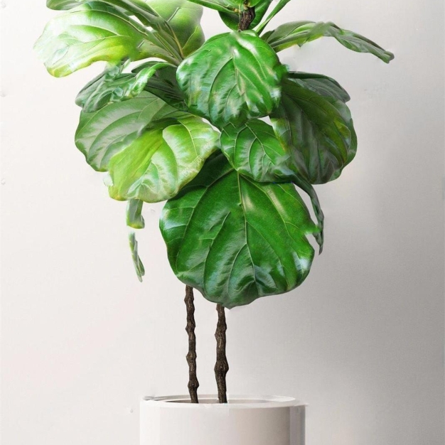 植物盆栽3D模型