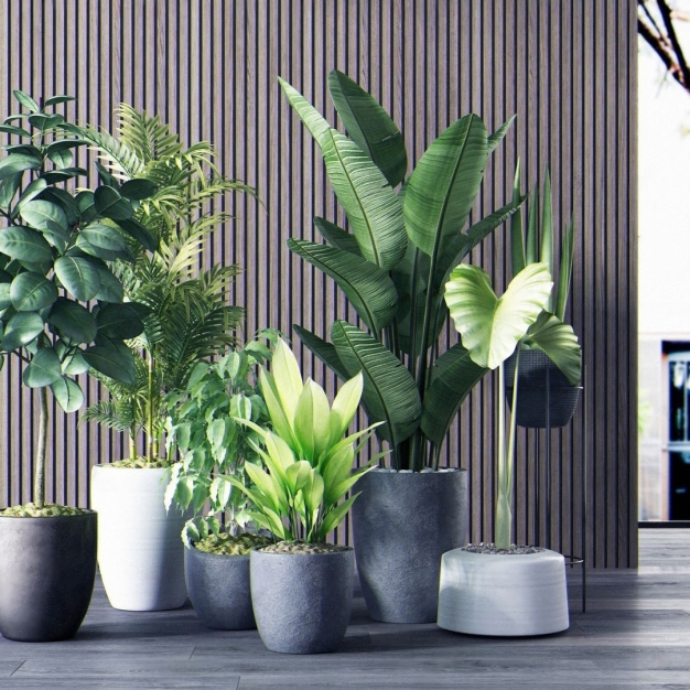 植物盆栽组合3D模型