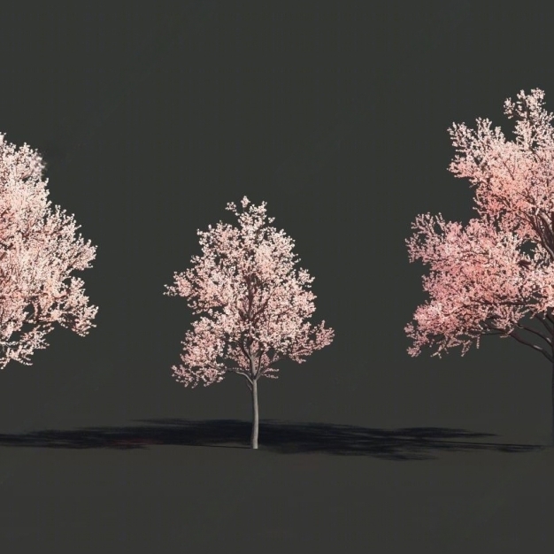树木 景观树3D模型