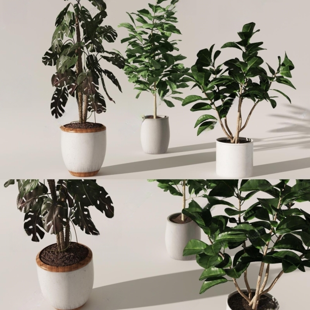 植物盆栽3D模型