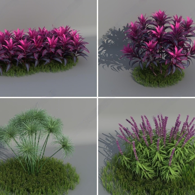 花草植物3D模型