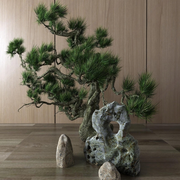 松树 假山 石头3D模型