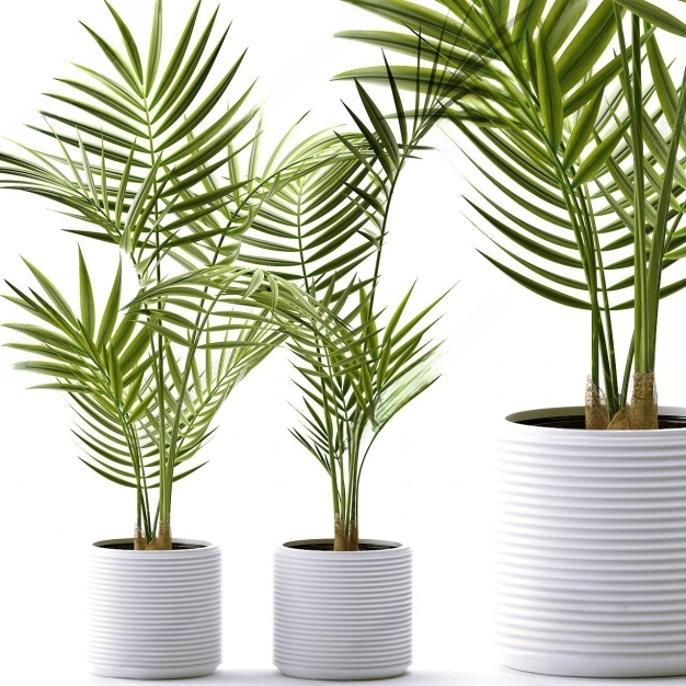 植物盆栽3D模型