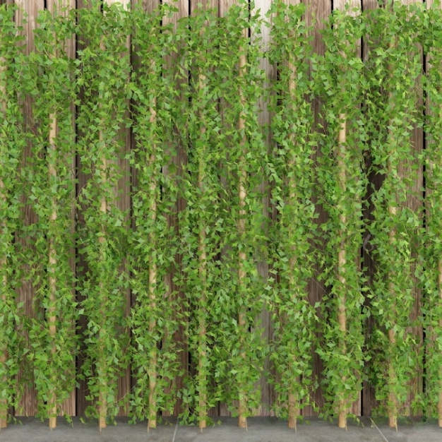 植物墙 藤蔓3D模型
