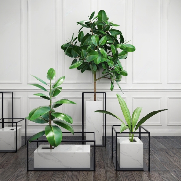 植物盆栽3D模型