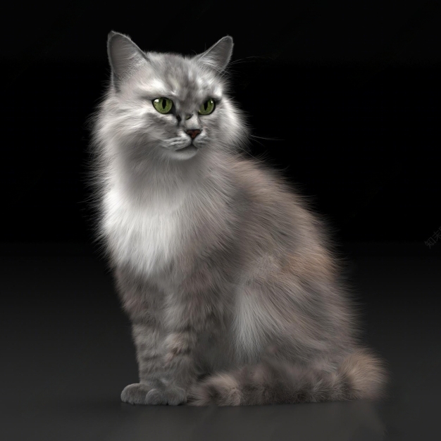 猫3D模型