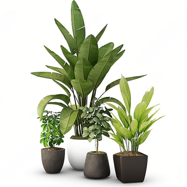 植物盆栽3D模型