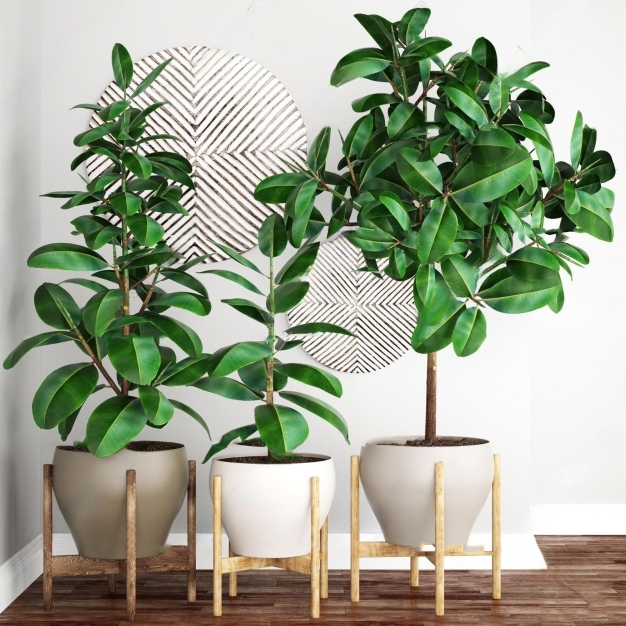 植物盆栽组合3D模型