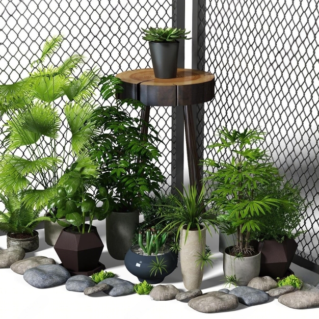 植物盆栽组合3D模型