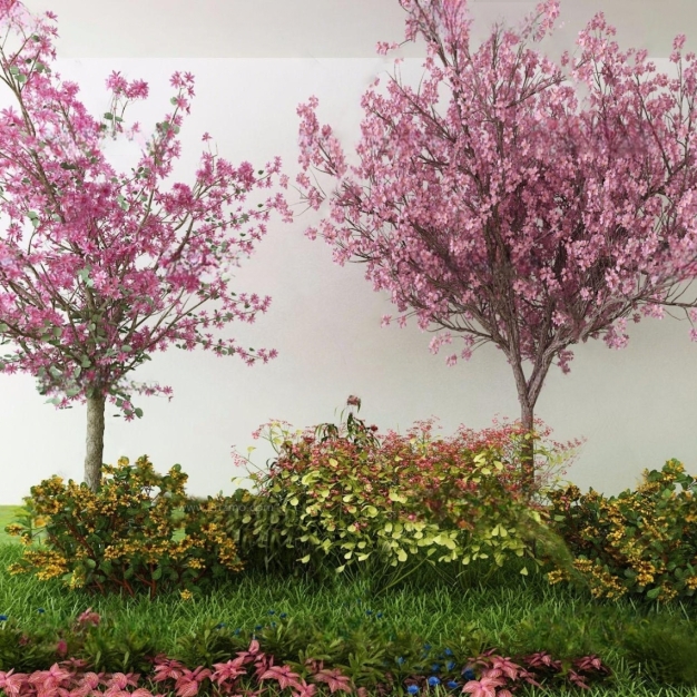 花草 树木3D模型