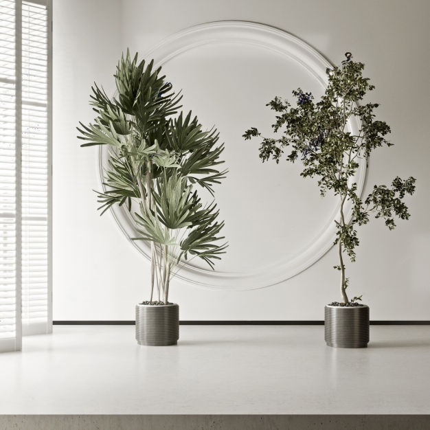 植物盆栽3D模型