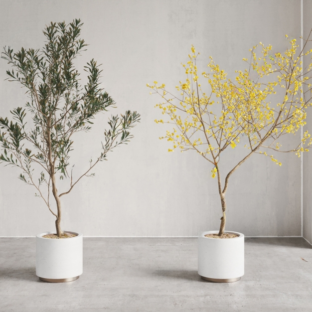 植物盆栽3D模型